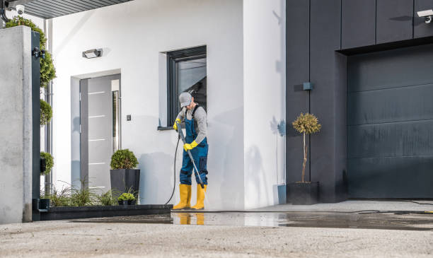 Animal Enclosure Cleaning in London, OH